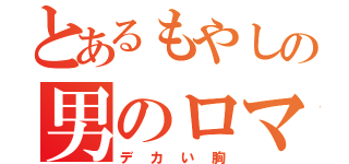 とあるもやしの男のロマン（デカい胸）