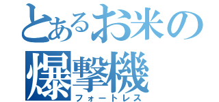 とあるお米の爆撃機（フォートレス）