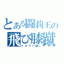 とある闘莉王の飛び膝蹴り（ドログバ壊し）