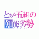 とある五組の知能劣勢（バカタレ）