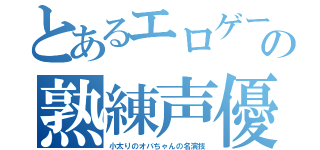 とあるエロゲーの熟練声優（小太りのオバちゃんの名演技）