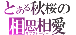 とある秋桜の相思相愛（ラブストーリー）