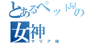 とあるペット屋の女神（マリア様）