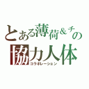 とある薄荷＆チョコの協力人体（コラボレーション）