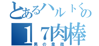 とあるハルトくんの１７肉棒（男の象徴）