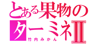 とある果物のターミネーターⅡ（竹内みかん）