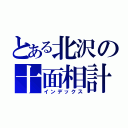 とある北沢の十面相計画（インデックス）