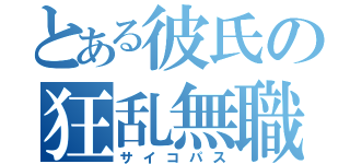 とある彼氏の狂乱無職（サイコパス）