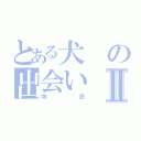 とある犬の出会いⅡ（物語）