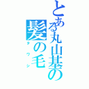 とある丸山基の髪の毛（タワシ）