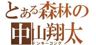 とある森林の中山翔太（ドンキーコング）