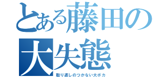 とある藤田の大失態（取り返しのつかない大ポカ）