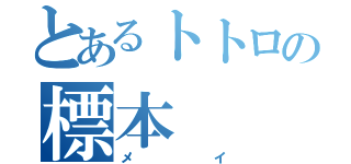 とあるトトロの標本（メイ）