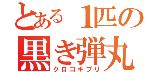 とある１匹の黒き弾丸（クロゴキブリ）