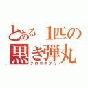 とある１匹の黒き弾丸（クロゴキブリ）