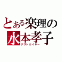 とある楽理の水本孝子（デストロイヤー）