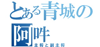 とある青城の阿吽（主将と副主将）