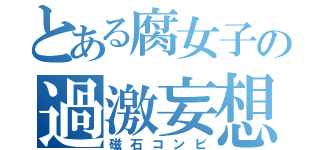 とある腐女子の過激妄想（磁石コンビ）