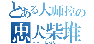 とある大师控の忠犬柴堆（ＲＡＩＬＧＵＮ）