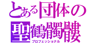 とある団体の聖鶴髑髏団（プロフェッショナル）