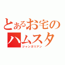 とあるお宅のハムスター（ジャンガリアン）