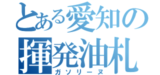 とある愛知の揮発油札（ガソリーヌ）