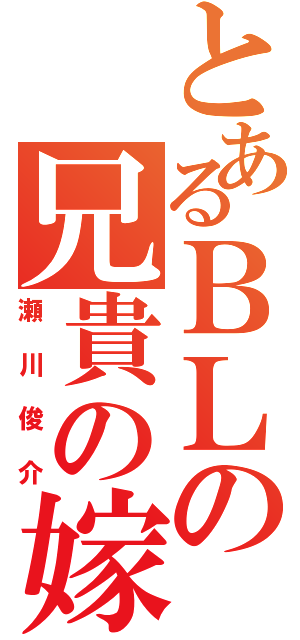 とあるＢＬの兄貴の嫁Ⅱ（瀬川俊介）