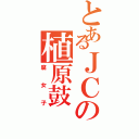 とあるＪＣの植原鼓Ⅱ（腐女子）