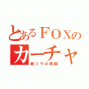 とあるＦＯＸのカーチャン（親フラの原因）