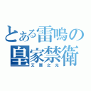 とある雷鳴の皇家禁衛軍（艾爾之光）