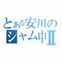 とある安川のシャム中毒Ⅱ（）