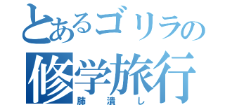 とあるゴリラの修学旅行（肺潰し）