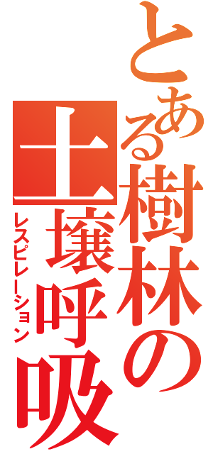 とある樹林の土壌呼吸（レスピレーション）