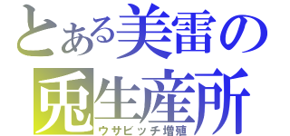 とある美雷の兎生産所（ウサビッチ増殖）