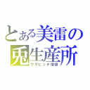 とある美雷の兎生産所（ウサビッチ増殖）