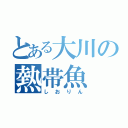 とある大川の熱帯魚（しおりん）