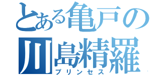 とある亀戸の川島精羅（プリンセス）