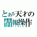 とある天才の情報操作（ハッキング）