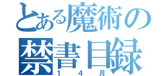 とある魔術の禁書目録（１４月）