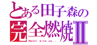 とある田子森の完全燃焼Ⅱ（Ｎｅｖｅｒ ｇｉｖｅ ｕｐ．．．）