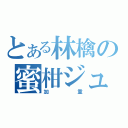 とある林檎の蜜柑ジュース（加重）