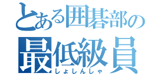 とある囲碁部の最低級員（しょしんしゃ）