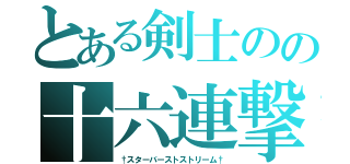 とある剣士のの十六連撃（†スターバーストストリーム†）