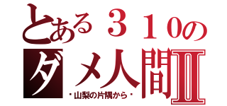 とある３１０のダメ人間日記Ⅱ（〜山梨の片隅から〜）