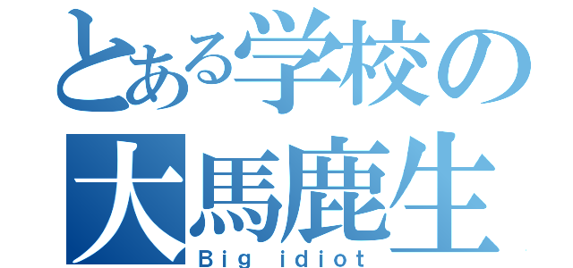 とある学校の大馬鹿生徒（Ｂｉｇ ｉｄｉｏｔ）