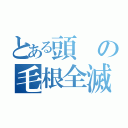 とある頭の毛根全滅（）