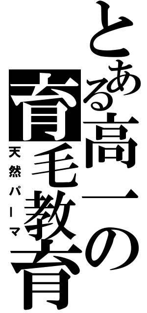 とある高一の育毛教育（天然パーマ）