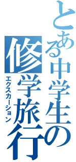 とある中学生の修学旅行（エクスカーション）