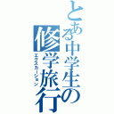 とある中学生の修学旅行（エクスカーション）