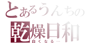 とあるうんちの乾燥日和（白くなる…）